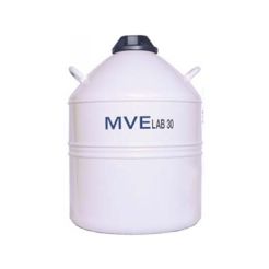 MVE Lab 30